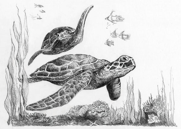 Mini Sketching Made Easy: Sea Turtles - Ages 8+