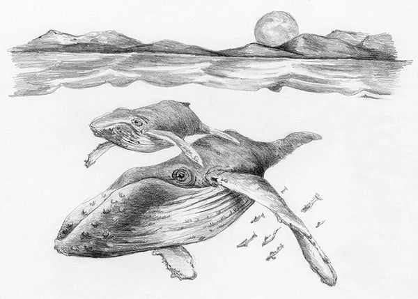 Mini Sketching Made Easy: Whales - Ages 8+