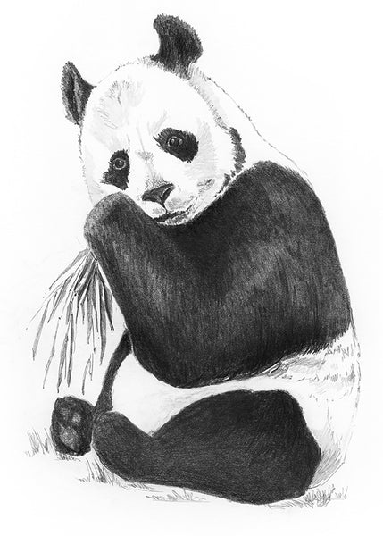 Mini Sketching Made Easy: Panda - Ages 8+