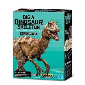 Dig a Velociraptor Dinosaur Skeleton - Ages 8+
