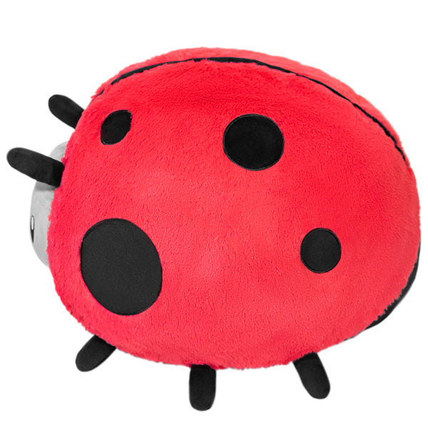 Ladybug II - Ages 3+