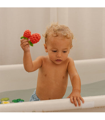Oli & Carol: Valery the Raspberry Natural Rubber Teether & Bath Toy - Ages 0+